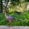 Custom Metal Garden Statues